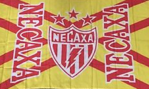 Club Necaxa Los Rayos Flag Bandera 3 X 5 Feet Pies Liga Mx Futbol Soccer Ebay