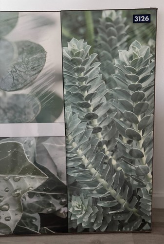 4 Bilder mit Natur Motiv Tolle Grüntöne - Bild 7 von 13