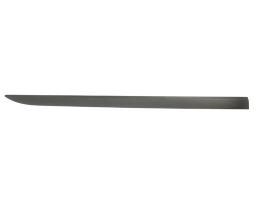 Right Front BLIC 5703-04-5024572P Trim/Protection Strip, wing for OPEL