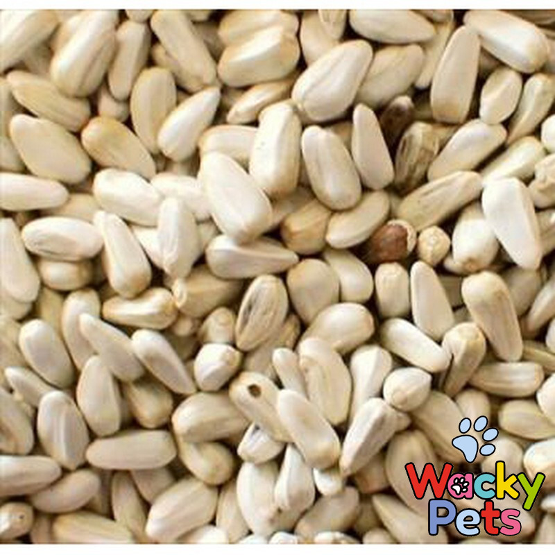 BIRD FOOD / SEED / FEED Johnston & Jeff Safflower Seed 12.5kg Sack