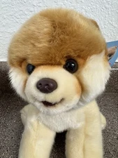 Gund Boo The World's Cutest Dog Plush Stuffed Animal 4029715 New with tag