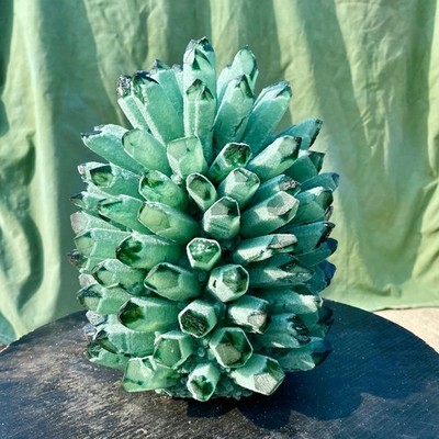 18LB New find green phantom quartz crystal cluster mineral specimen
