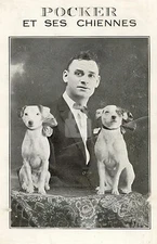 Circus Dog Acts 5 Pocker Vintage Postcard COPY