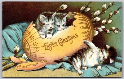 Vtg Easter Greetings Cats Kittens Emerging from Broken Egg 1908 Old Postcard