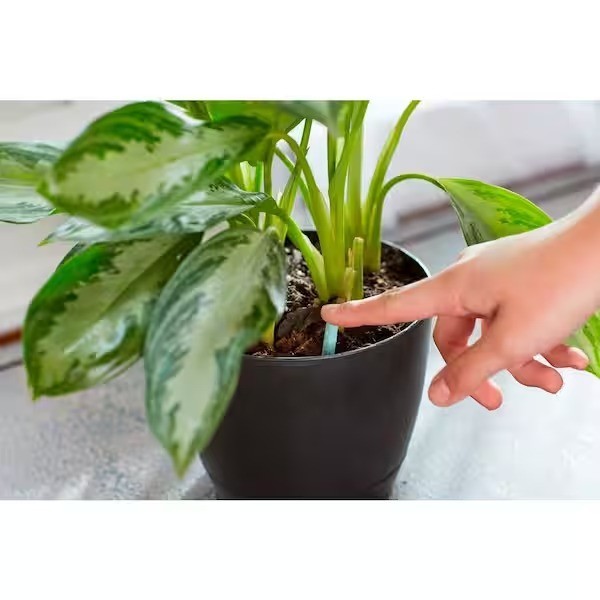 Miracle-Gro Indoor Plant Food Spikes - 24 Spikes - 1.1 oz