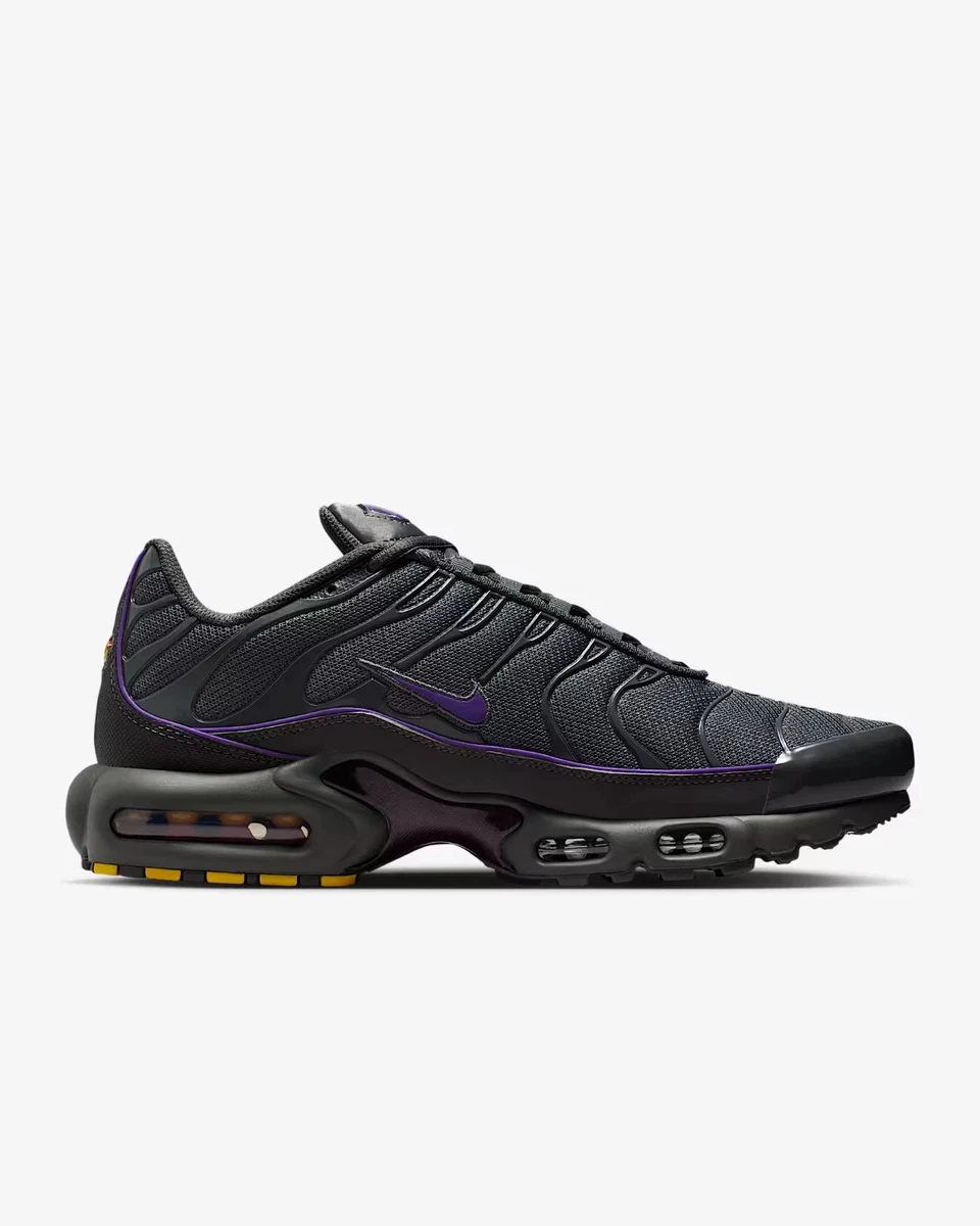 Nike Air Max Plus Iron Grey Wild Grape for Sale | Authenticity
