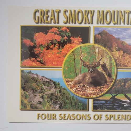 Four Seasons Great Smokey Mountains National Park Continental Chrome Postcard - Picture 2 of 6