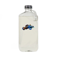 32 oz Copepod Bottles - 5 Species - With Phyto in bottle - Free Shipping
