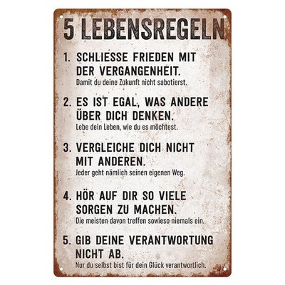 2D Flat, 2D Two-Dimensional Plane, 1 Inspirational Metal Sign - 5 Life Rules