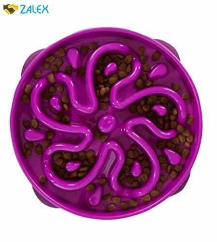 Alimentadores automáticos Outward Hound perro