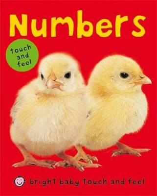 Bright Baby Touch & Feel Numbers (Bright Baby Touch and Feel) - GOOD
