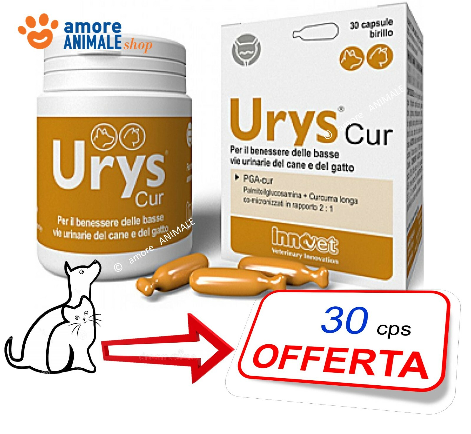 URYS CUR Innovet 30 Capsule | Risolvi Problemi Urinari Cane Gatto