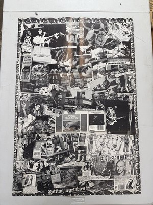 Vintage DEAD KENNEDYS / FRESH FRUIT FOR ROTTING VEGTABLES Double