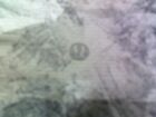 Foto 8 di 8