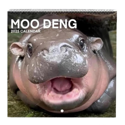 Moo Deng Calendar ,Funny Hippo Wall Calendar, 2025 Deng Moo Calendar