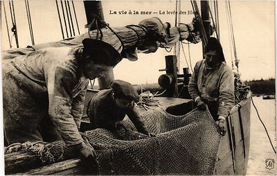 Old postcard La vie a la mer - La levée des files (293652)