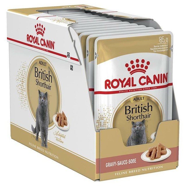 royal canin renal cat food pouches