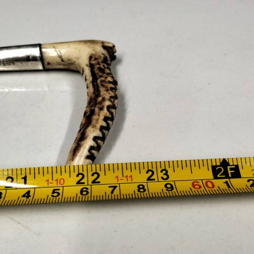 Antique Hunting Crop Whip Antler Horn Silver Collar 1908 James Schomberg & Sons - Picture 9 of 9