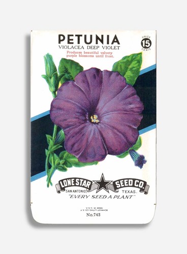 Vintage unbenutzte Samen Päckchen in einem handgefertigten Rahmen Blumen Lone Star American - Bild 39 von 76