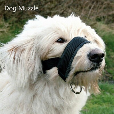 is a muzzle a good training tool