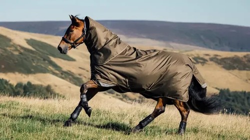 LeMieux Arika Ripstop 0g Lightweight Light Turnout Rug + Hood 600d 4'9"-7'3" - Picture 4 of 10