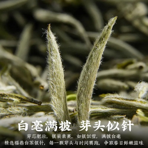 350 g Aguja de plata cabello blanco de alta calidad Fuding té blanco - Imagen 4 de 15