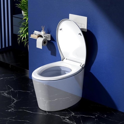 Rainsworth Nano Glaze Toilettendeckel Form O,Urea Formaldehyd Wc Sitz - Bild 3 von 9