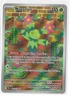 Maractus 160/159 2025 Journey Together Illustration Rare Card Pokemon TCG NM