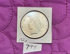 1923 XF+ Peace Silver  $1.00  See All Photos  Lot #794