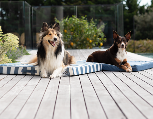 Snooza Alfresco Dream Orthobed Outdoor Pet Dog Bed Ocean Blue XL - Picture 5 of 5