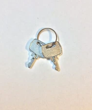 Keys For The Lookout Agent Portable Security Alarm System by Intellitech (2Keys)