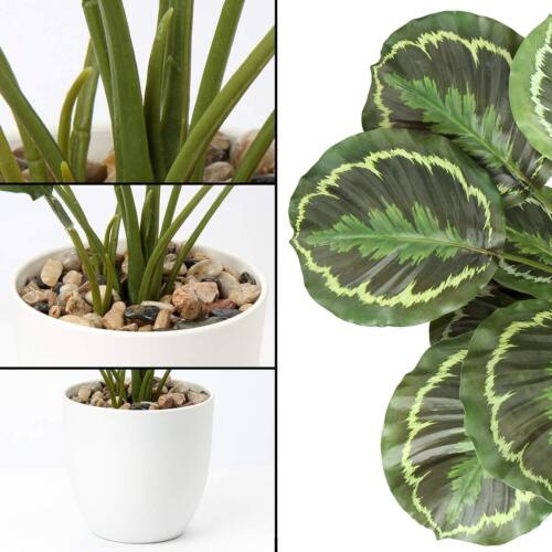 18'' Tall Fake Plant for Home Decor Artificial Calathea Plant with Large Leav... - Picture 3 of 5