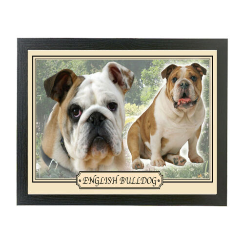 Auswahl Hunderasse Kissen Laptop Runde Abendessen Tablett Geschenk Jack Russell Labrador - Bild 51 von 116