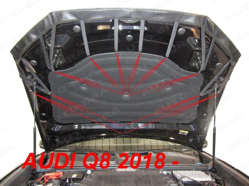 Reggiseno auto compatibile con Audi Q8 anno dal 2018 protezione anticadute reggiseno cofano tuning - Foto 4 di 4
