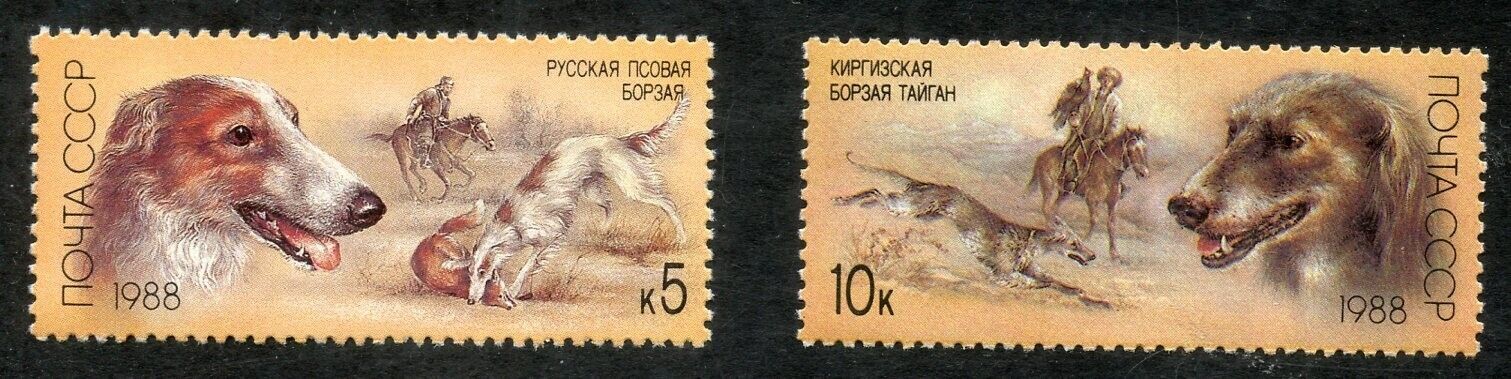 Foto 1 di 3