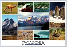 Parque Nacional Torres Del Paine Chili Oversized Postcard Vintage Souvenir