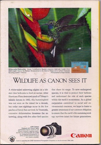national geographic-DEC 1994-ANIMAL PLAY. - Foto 2 di 3
