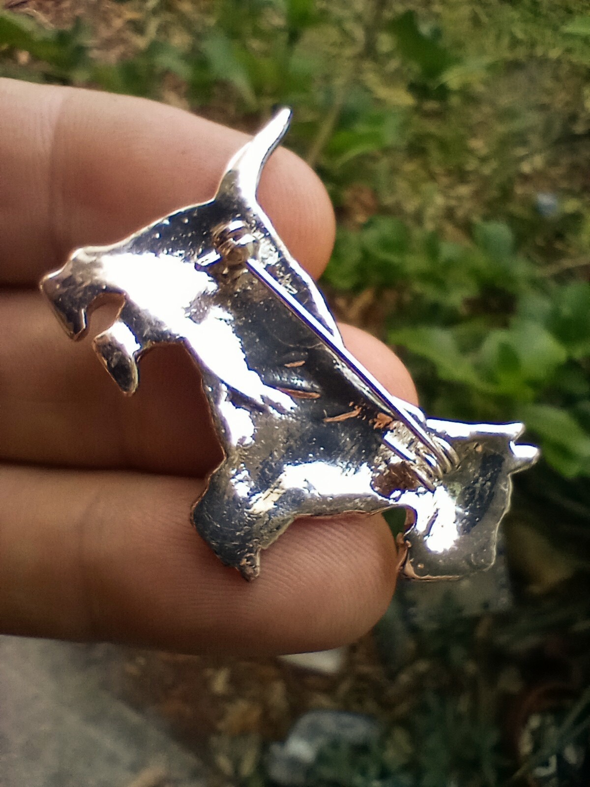 Picture 5 of 6