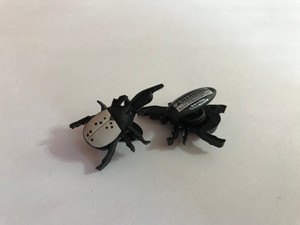 Beetle-Bug-Shoe-Doodle-goes-in-holes-of-Rubber-Shoes-Crocs-Shoe-Charm-PSC1038