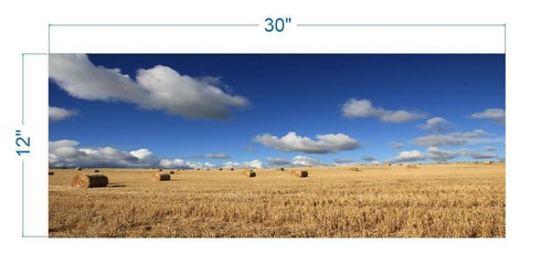 Hay Wheat Field Polyester Fish Tank Glass Back Drop Aquarium Background New - Picture 3 of 6