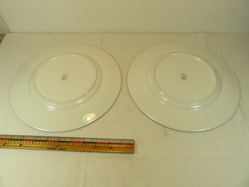 2 piatti Lenox Westerly Platinum 10 3/4 pollici Bone China USA EUC - Foto 5 di 6