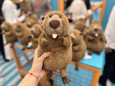 EXCLUSIVE! Jellycat Canada Briggs Beaver Plus...