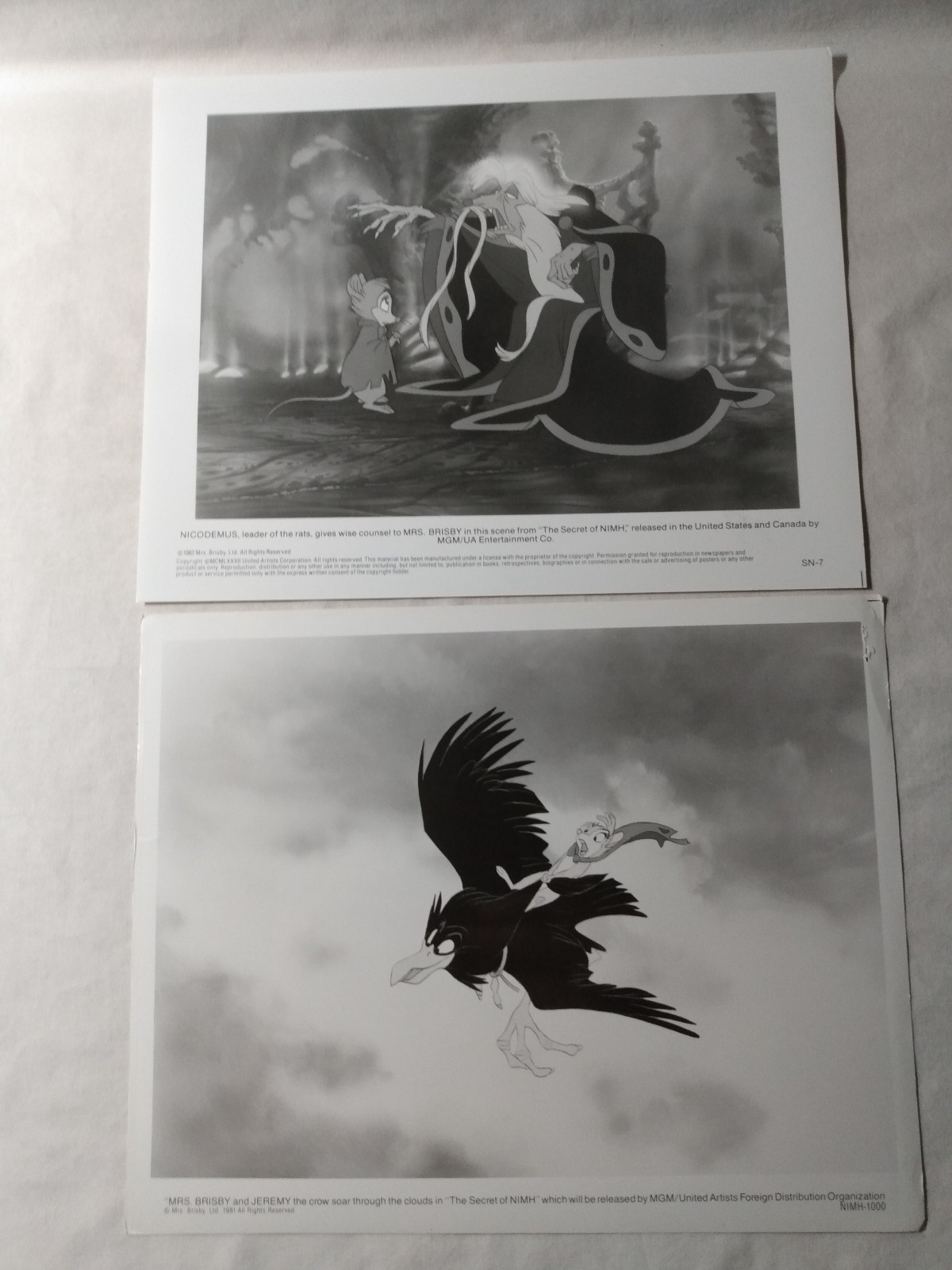 Picture 10 of 16
