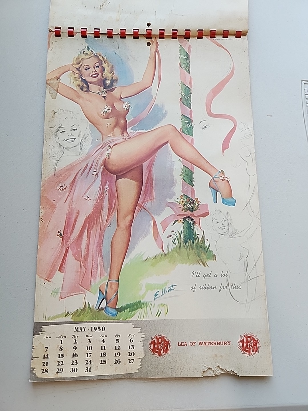 Picture 5 of 17