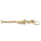  Messing-Schrankknopf: Vintage Messing-Schubladengriff Metall-Türknopf -