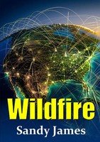 Sandy James | Wildfire | Taschenbuch | Englisch (2014) | Kartoniert / Broschiert