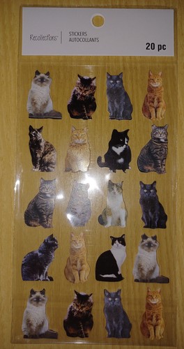 NEW Lot of 3 Packs Stickers by Recollections™ - 666104, 666076, 666078 - Picture 3 of 8