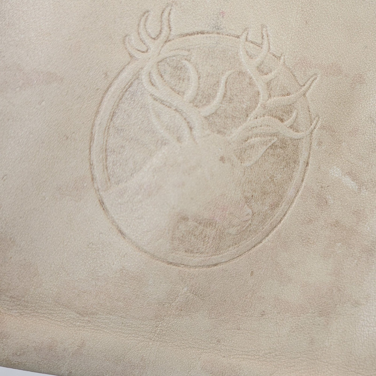 Picture 4 of 7