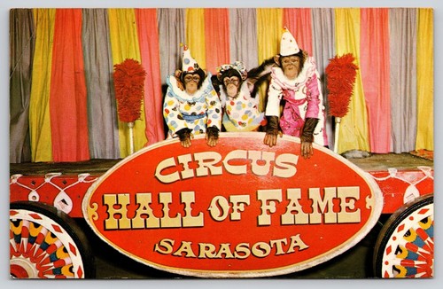 Cartolina Circo Hall of Fame Sarasota Florida Primati - Foto 1 di 2