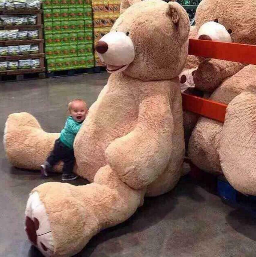 Hot Large bear 80/340cm Teddy Bear Giant Teddy Bears Big Soft Plush Toys Set UK | eBay Hot Large bear 80/340cm Teddy Bear Giant Teddy Bears Big Soft Plush Toys Set UK | eBay